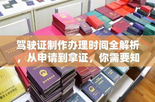 桃山驾驶证制作办理时间全解析，从申请到拿证，你需要知道的一切